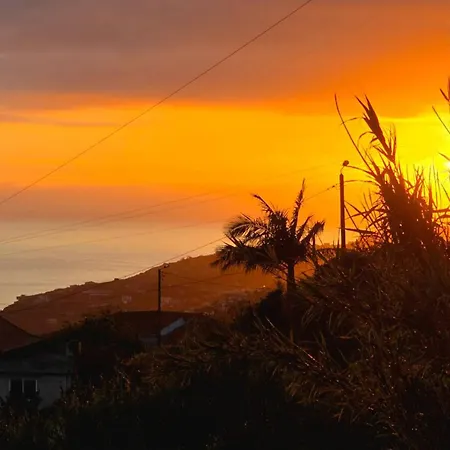 Casa Vale Bravio By Escape To Madeira Villa